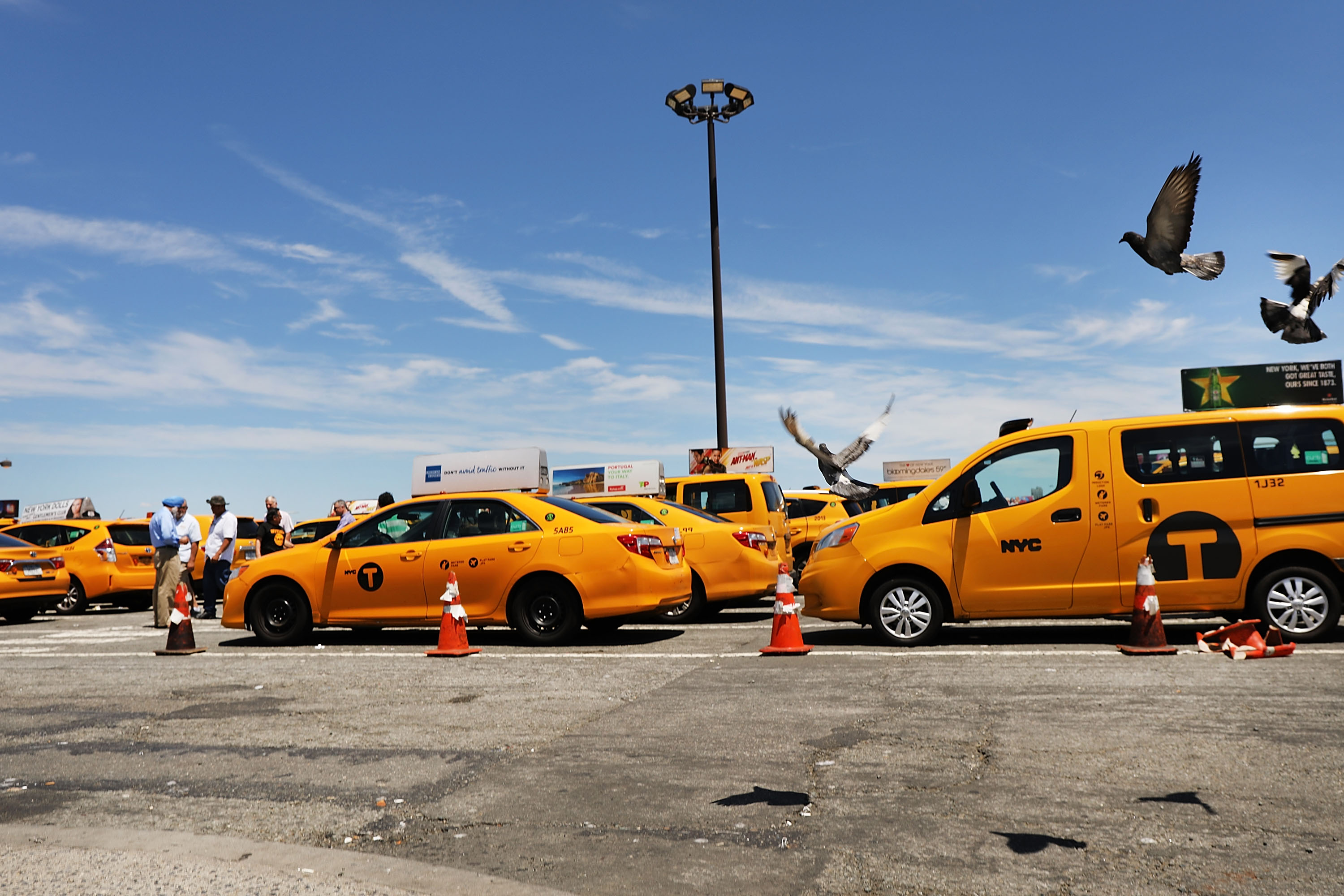 NYC's taxi union teams with Uber, hedge fund to demand healthcare 4 driver deaths — Gothamist