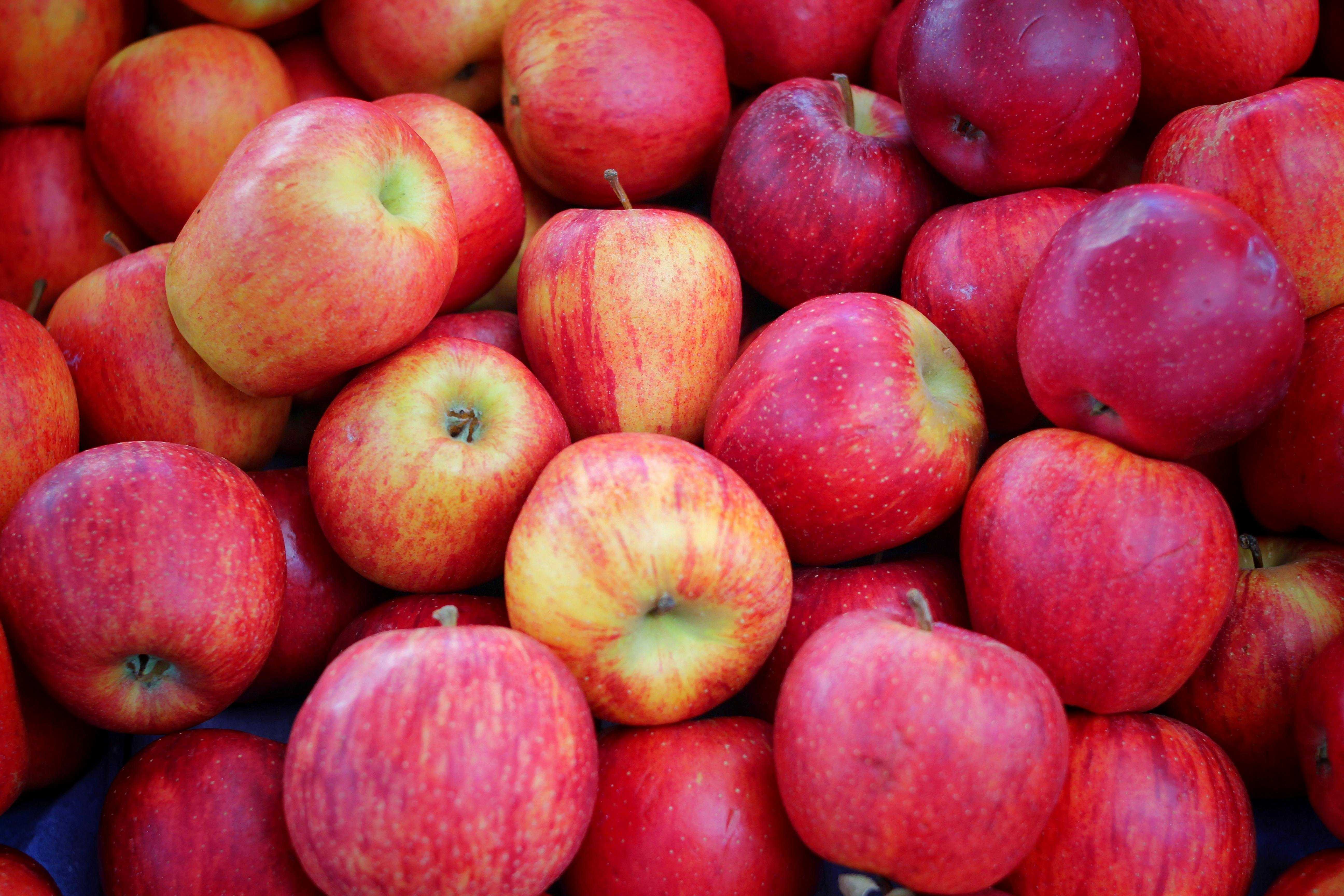 What happens if you eat an apple every day? A dietitian explains — WESH 2 Orlando, Celebration Health news