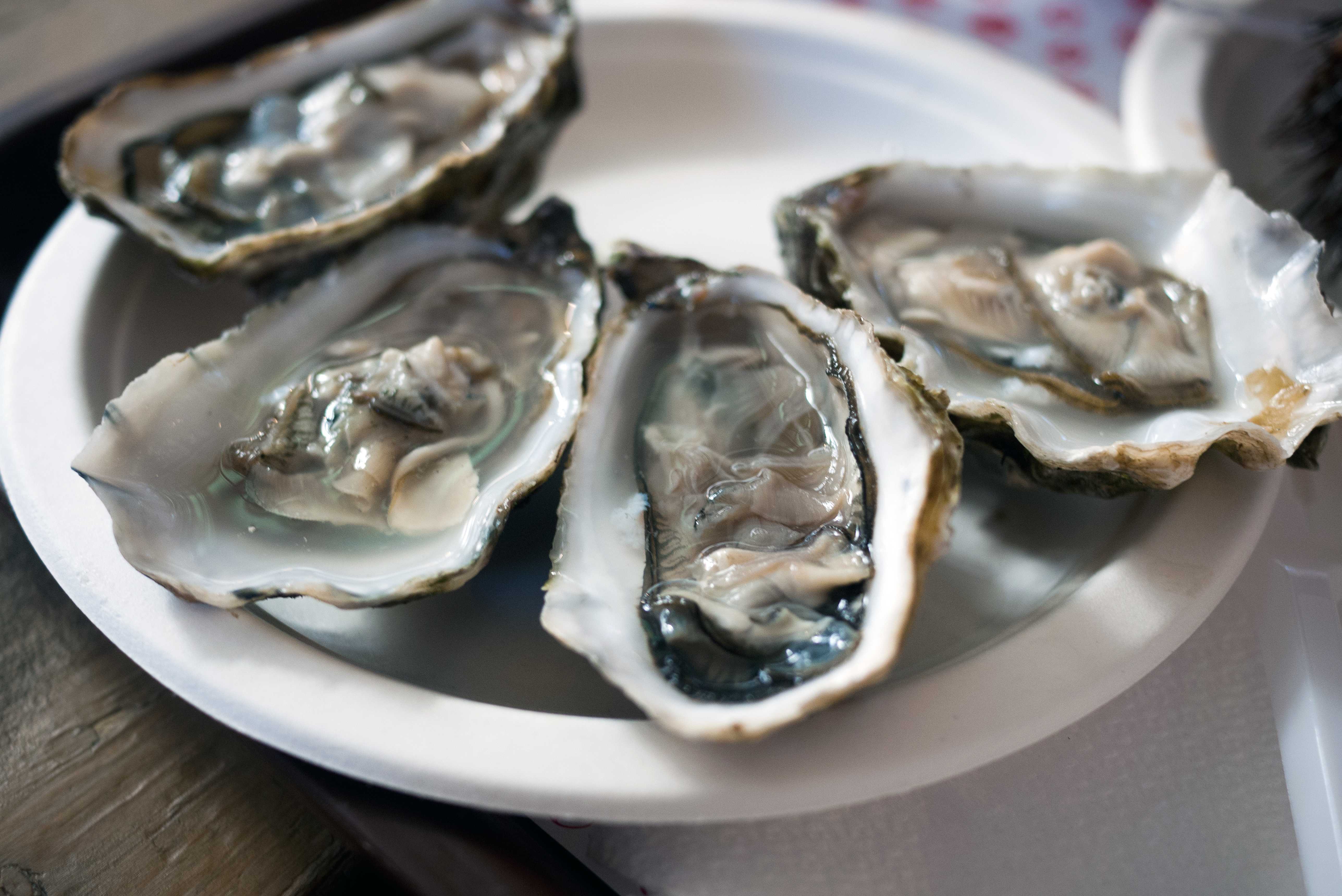 27 People Are Sick & 5 Hospitalized In A Multistate Raw Oyster Recall — WESH 2 Orlando, Celebration Dining news