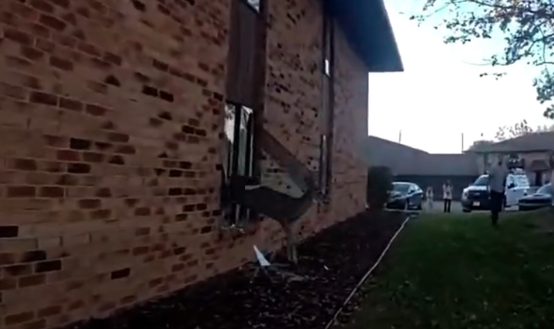 VIDEO: Deer crashes through window after entering apartment unit — WESH 2 Orlando