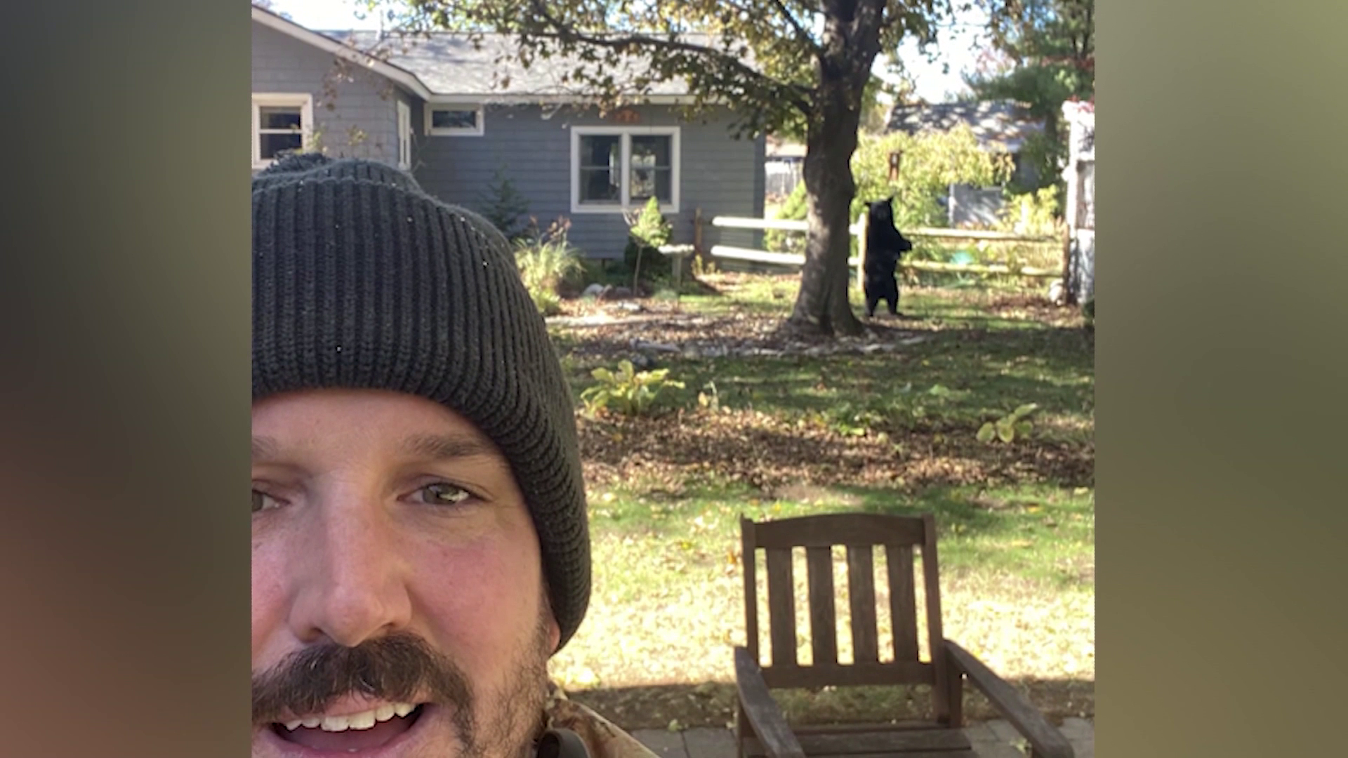 'Big, furry pillow lounging next to that tree': Man snaps selfie with black bear — WESH 2 Orlando, Celebration Schools news