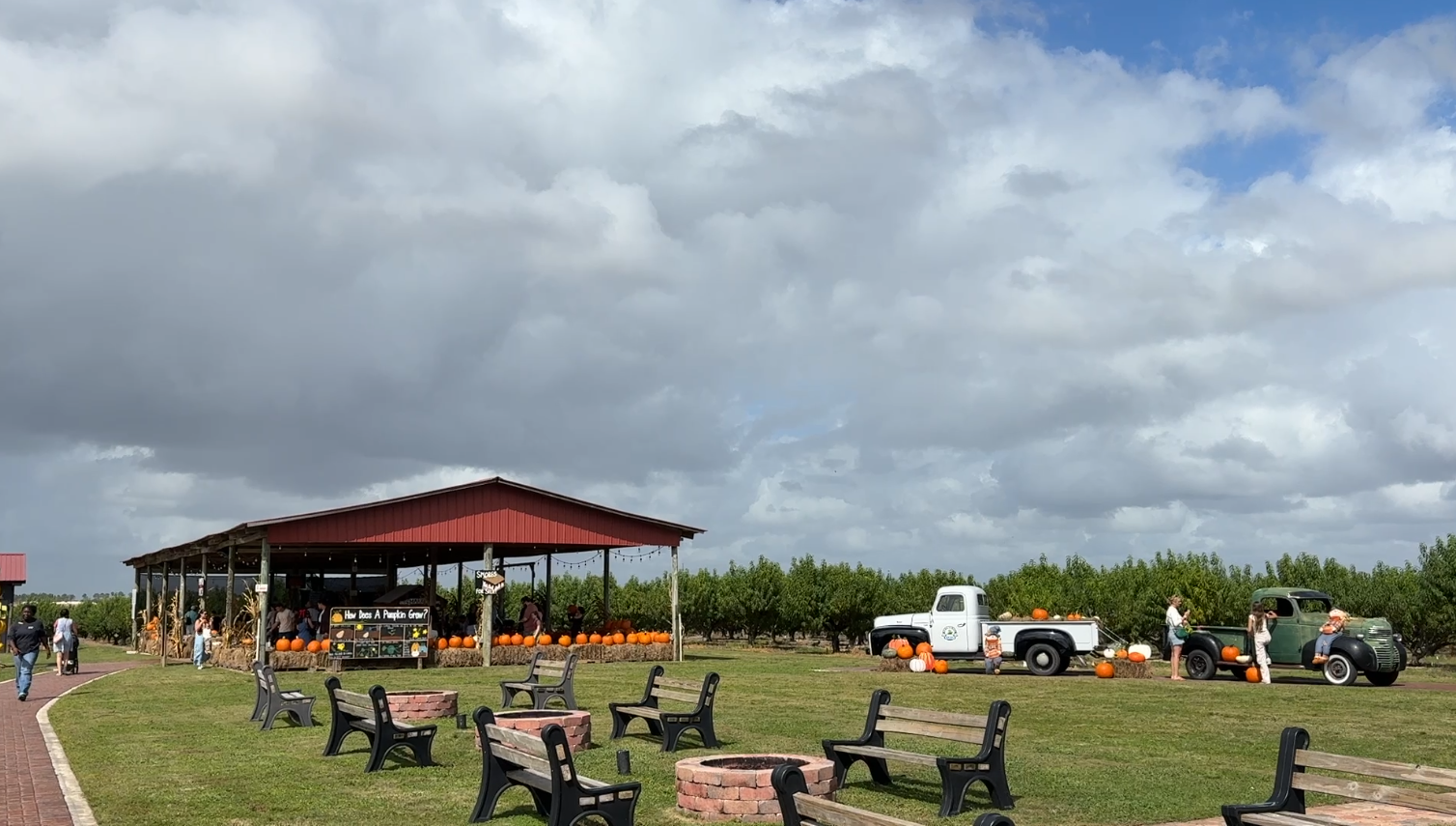 Southern Hill Farms hosts 11th annual fall festival in Clermont — Celebration Arts news