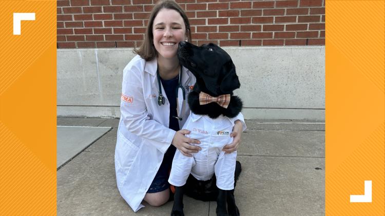 'Dogtor Walsh' reports for duty on the UT campus — KENS 5 (San Antonio), Celebration Schools news