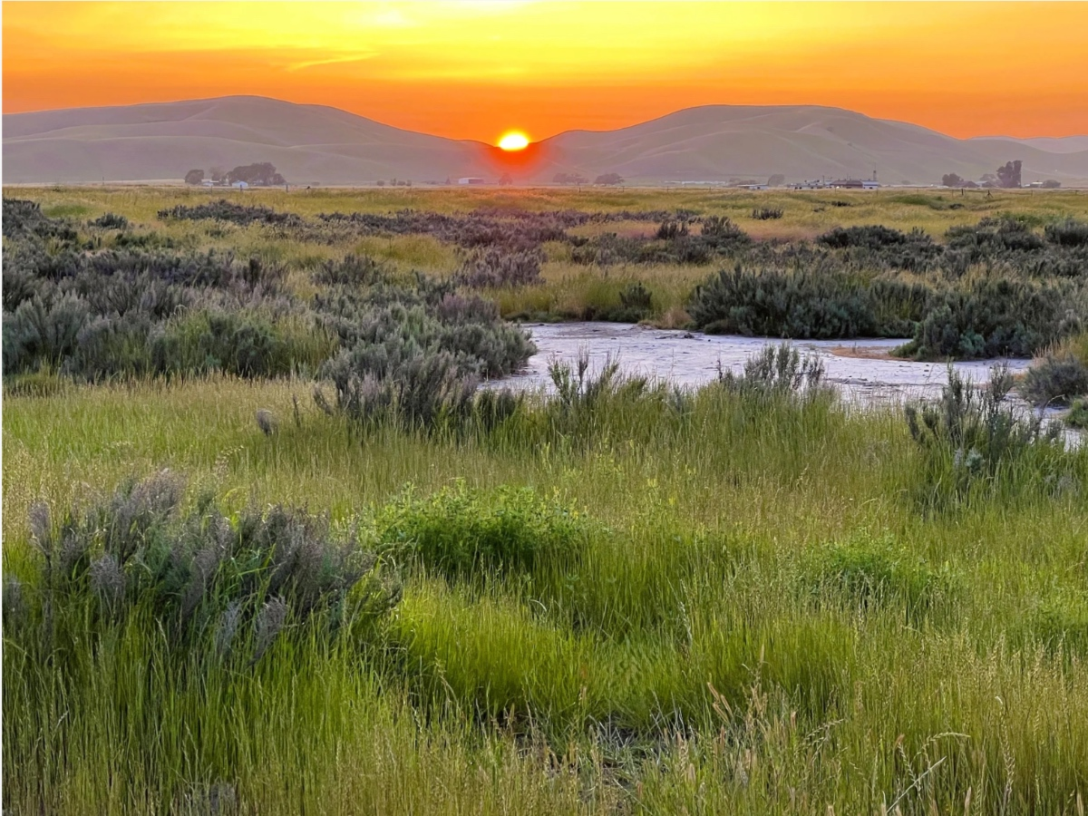 331 Acres Of Tri-Valley Wildlife Habitat, Open Space Permanently Protected — Danville Patch, Celebration Community news